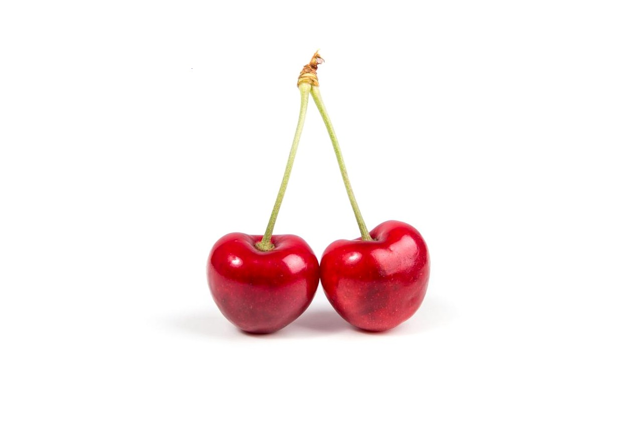 Línea de producción optimizada